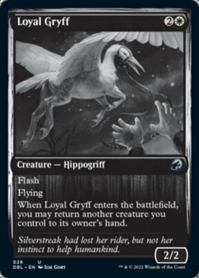 [4x] Loyal Gryff Near Mint, English Innistrad: Double Feature MTG Magic