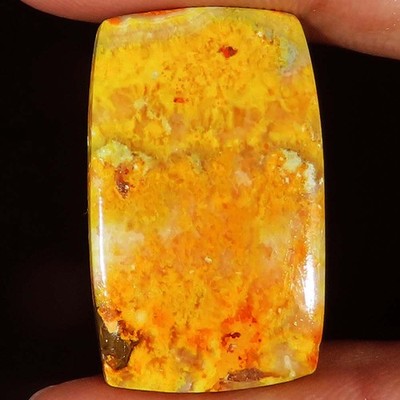 26,10 Ct Natur BUMBLE BEE JASPER Kissen Cabochon Edelstein 18x29x4 mm SH174