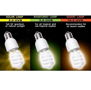 uvb fluorescent bulb