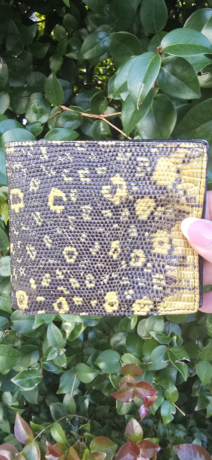 Prada Wallet Python Beige Python Leather Authenti… - image 1