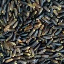 Wild Black Japonica Rice GMO free Premium Qua...