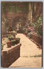 Rppc Real Tinted Photo Patio Royale Potted Plants Azo 1910 - 1930s Postcard C32