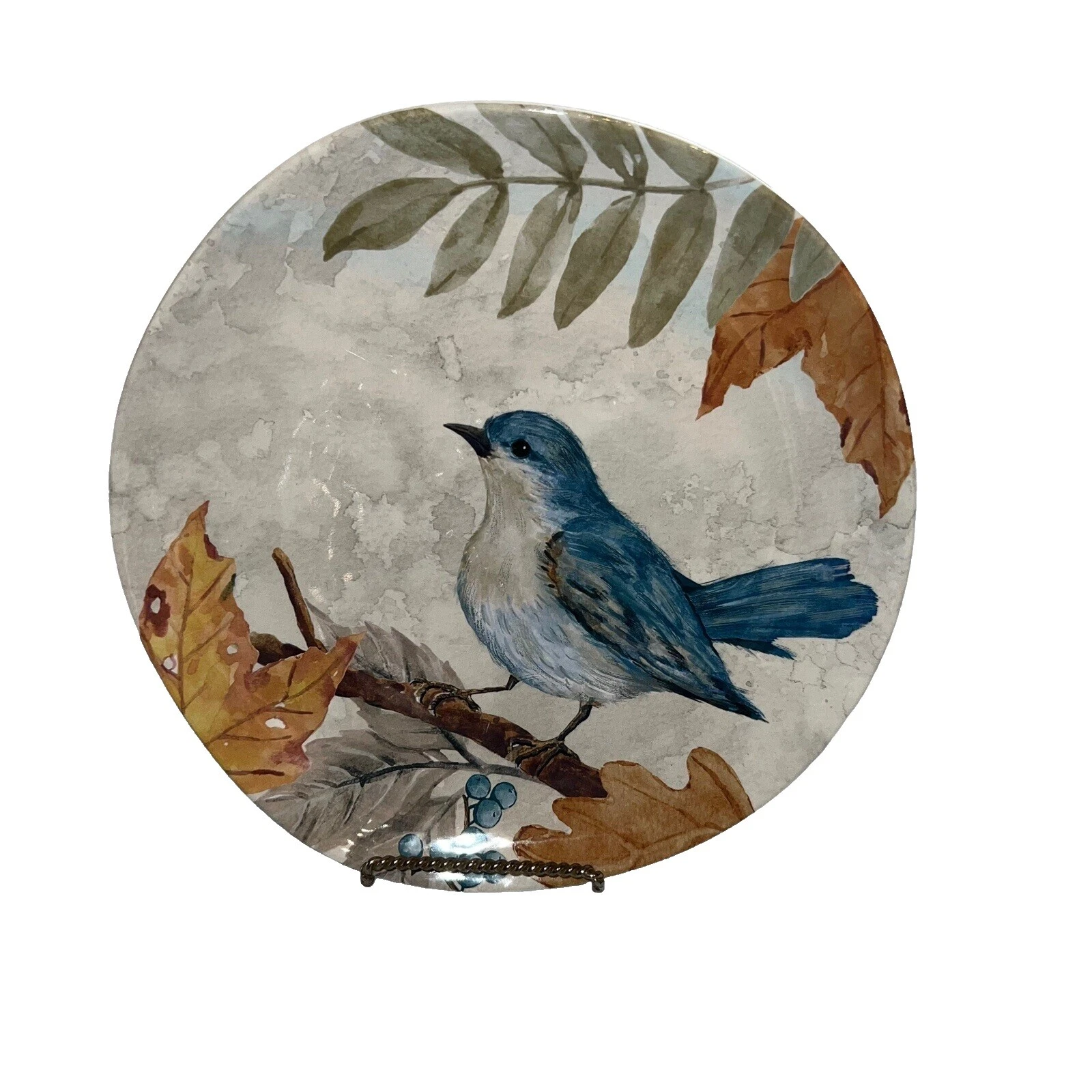 Pier 1 Imports Dinner Plates Dinnerware Plates