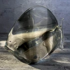 Livio Seguso Murano Sommerso Glass Fish Sculpture Vintage Signed Italian MCM