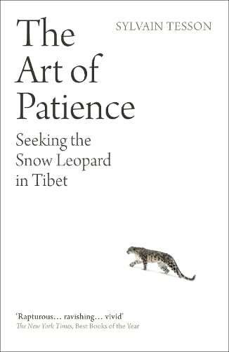 The Art of Patience: Seeking the Snow Leopard in Tibet - Image 6
