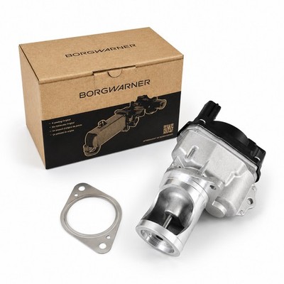 BorgWarner AGR Ventil für Audi A4 A5 B8 A6 C7 A7 A8 Q5 8R Q7 Touareg 7P 3.0 TDI