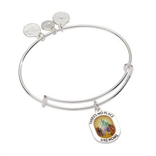 Alex and Ani The Wizard of Oz  Theres No Place Like Home Bangle AA1042624SS