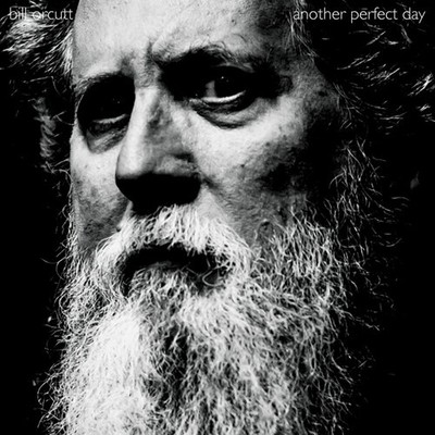 Bill Orcutt - Another Perfect Day [Used Very Good Vinyl LP]