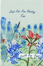 Just-For-Fun-Poetry Two (Paperback or Softback)