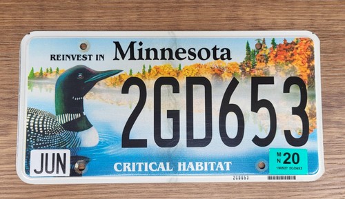 2020 Minnesota Critical Habitat LOON License Plate Tag #2GD653 Wildlife