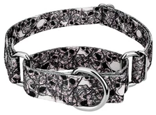 Country Brook Petz® Phantom Skulls Martingale Dog Collar