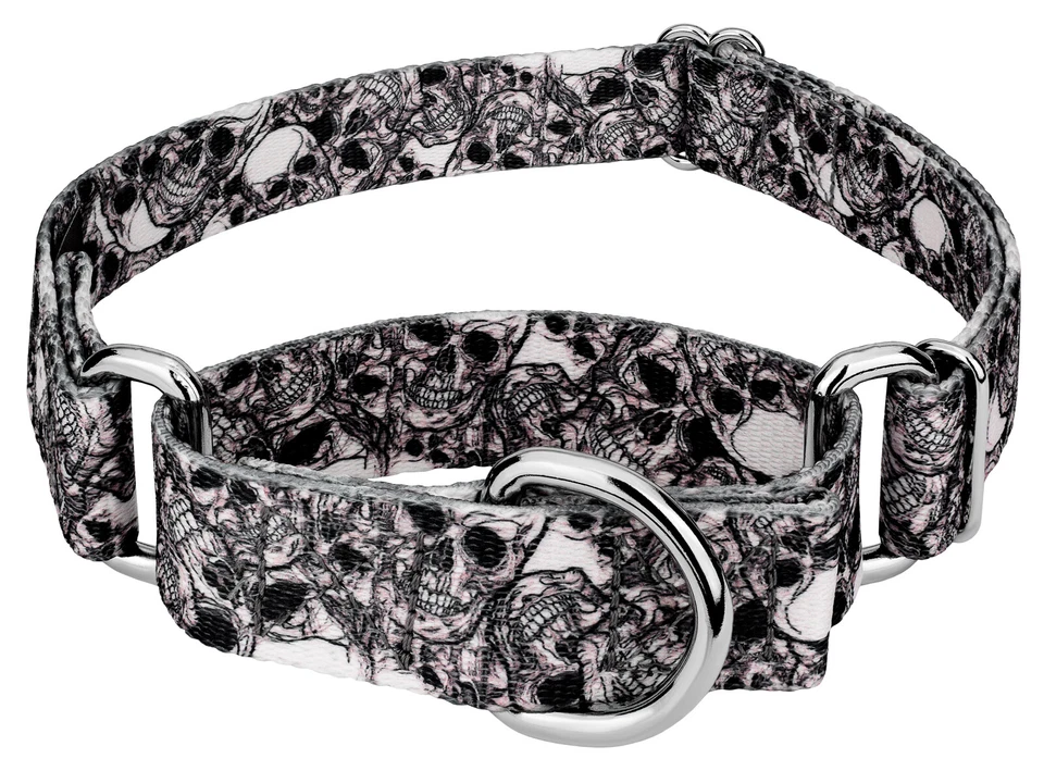 COUNTRY BROOK DESIGN Country Brook Petz® Phantom Skulls Martingale Dog Collar