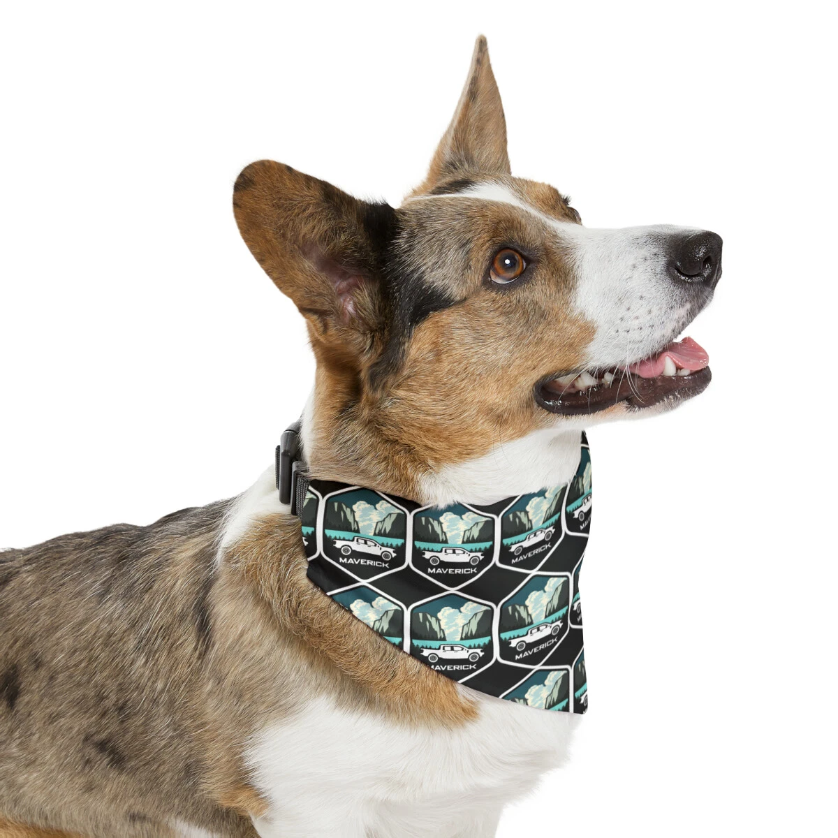 Maverick Pet Bandana Collar Free Shipping