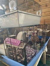 Hamster Cage blue base &Accessories Please See Photo £50. The beige base cage£20