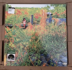 Jhene Aiko Trip | eBay