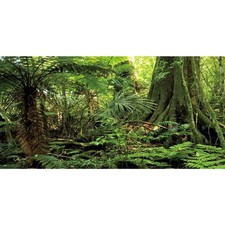 48x24 inches Forest Terrarium Background Stone Green Huge Tree Reptile Habita...