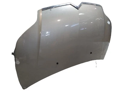 Capot Citroen C4 C4 00007901Q6 - Photo 1/4