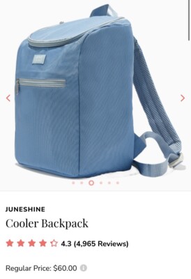 June Shine Insulated Cooler Backpack In Marine Blue - New with tags $60