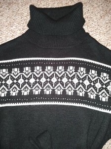 dressbarn turtleneck