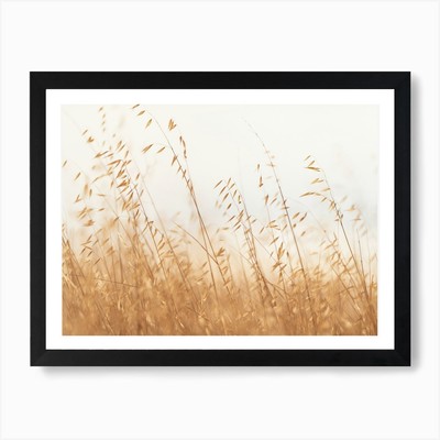 Hafergras Nr. 1 Kunstdruck gerahmt Wandbild Poster Leinwanddruck Bild