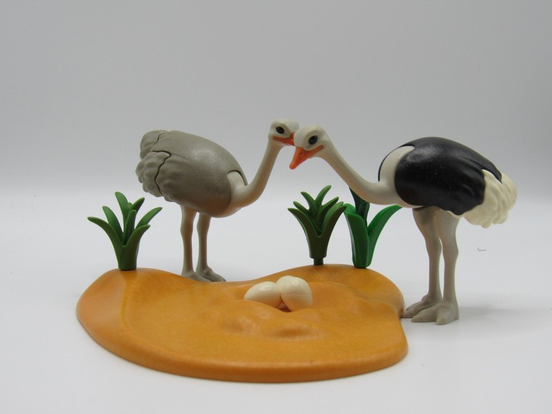 Playmobil 4831 - 2 Ostrich in Wildlife Savannah