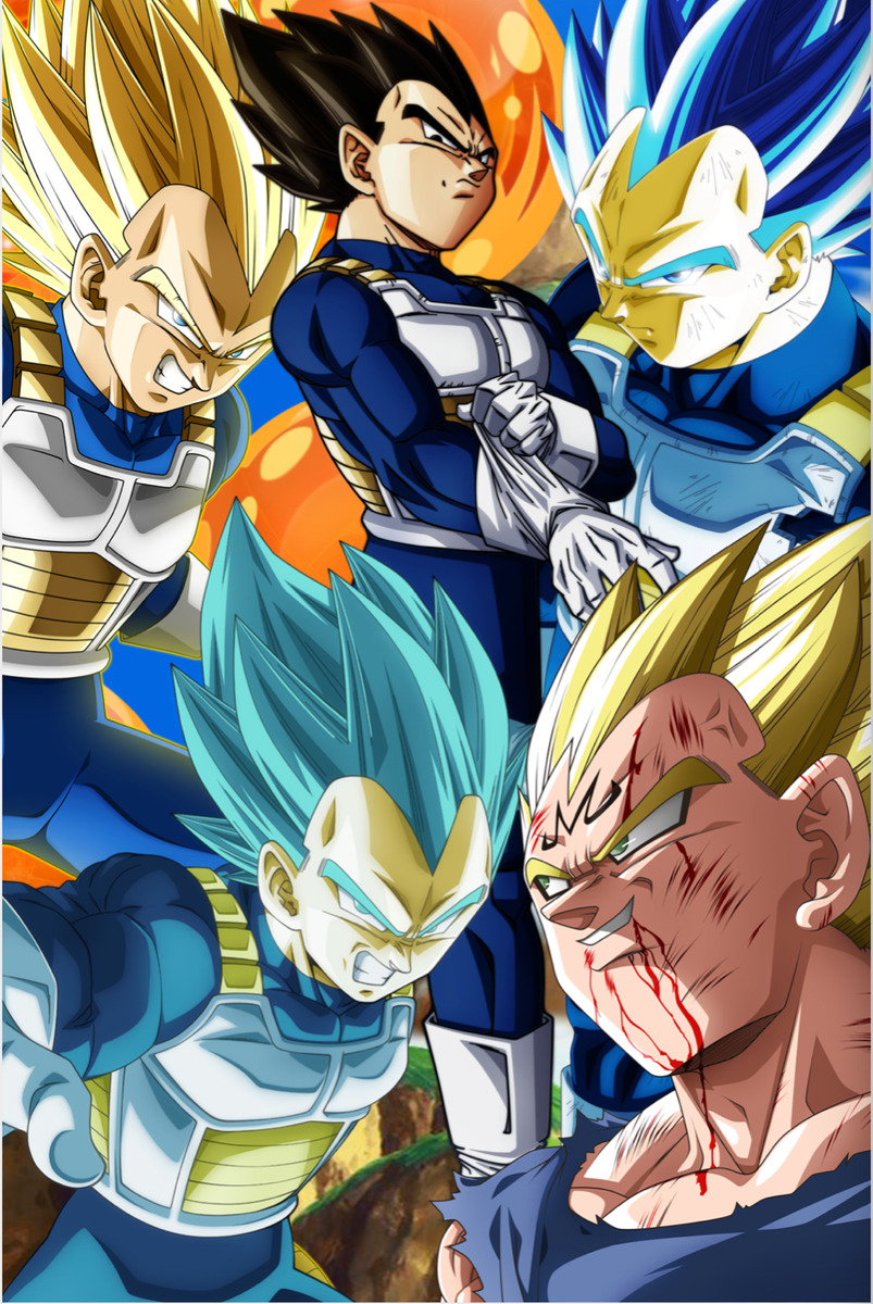 Dragon Ball Z SSJ Vegeta Collage 18in x 12in Free Shipping