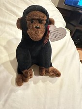 Rare Ty Beanie Baby Congo the Gorilla Plush Toy With Punctuation Errors!!