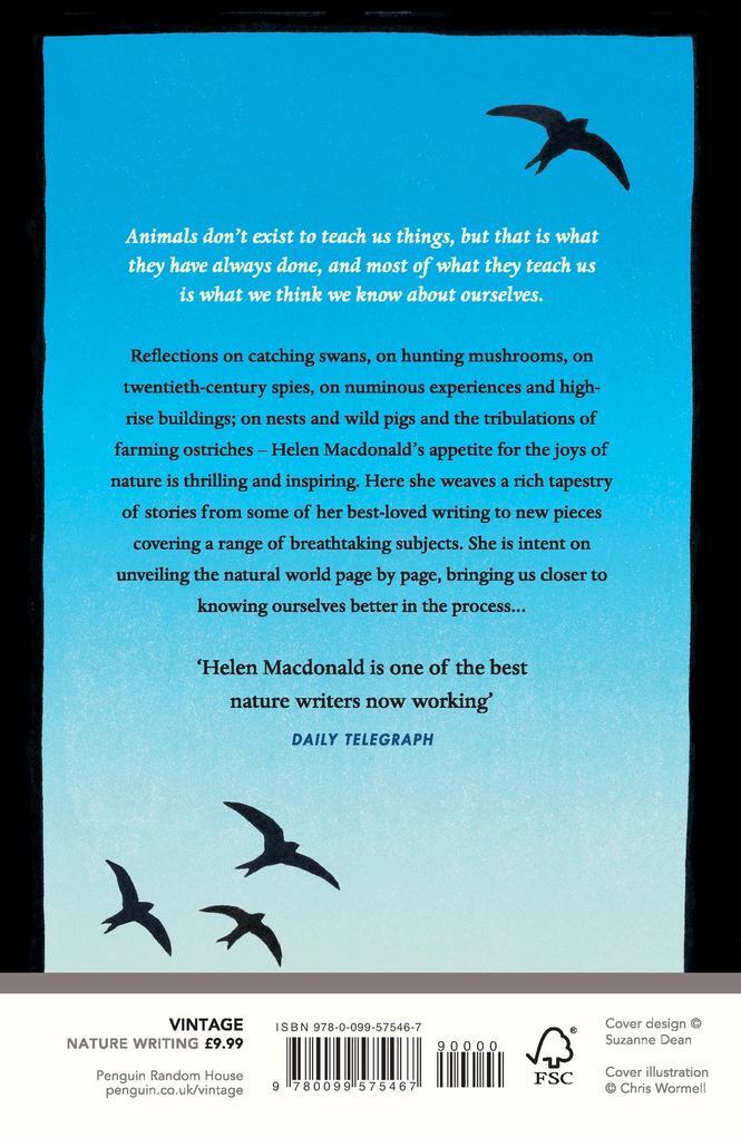 Thumbnail - Vesper Flights | Helen Macdonald | 2021 | Englisch