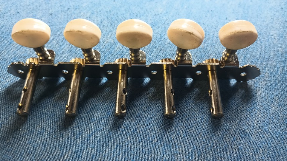 5X2 Bajo Quinto Slot Peghead Machine Heads 10 String Acoustic Guitar