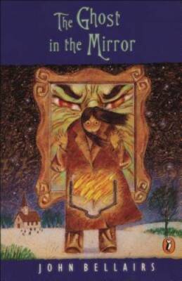 The Ghost in the Mirror (Lewis Barnavelt) - Paperback - ACCEPTABLE