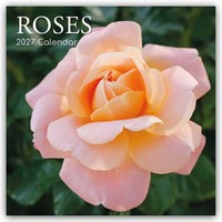 Roses - Rosen 2027 - 16-Monatskalender Gifted Stationery Co. Ltd Kalender 28 S.