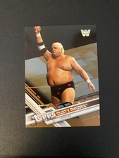 2017 Topps WWE Dusty Rhodes #186 Bronze 