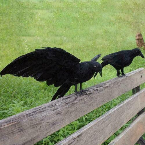 2/4Pcs Fake Black Feathered Crow Halloween Decor Raven Bird Indoor Outdoor Props