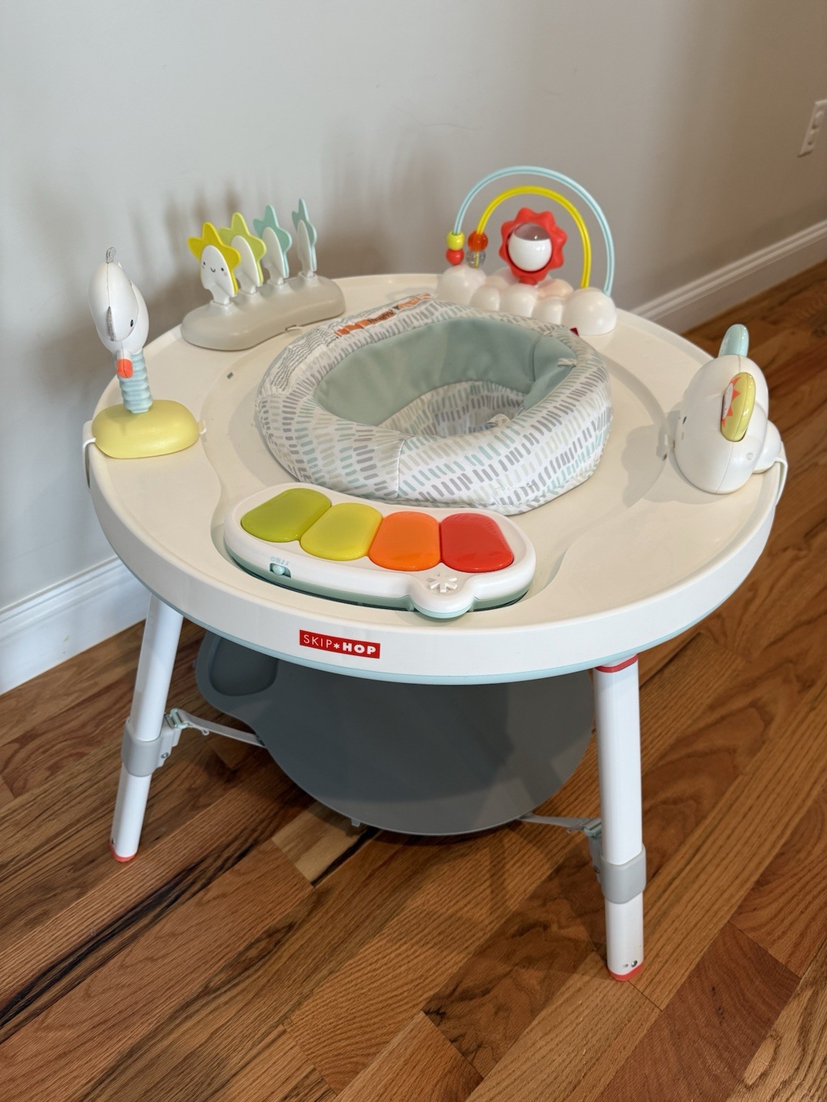 Skip Hop Baby Activity Center