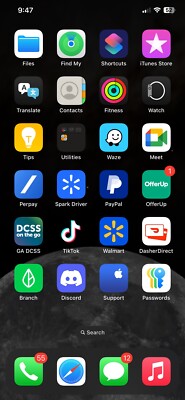 iphone x pro max With Tik Tok
