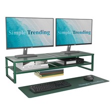 2 Tier Metal Dual Monitor Stand Riser, Computer Office Desktop Organizer for ...