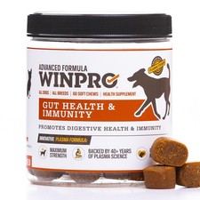 WINPRO Dog Gut Health Supplement Plasma-Powered Soft Chews for 60