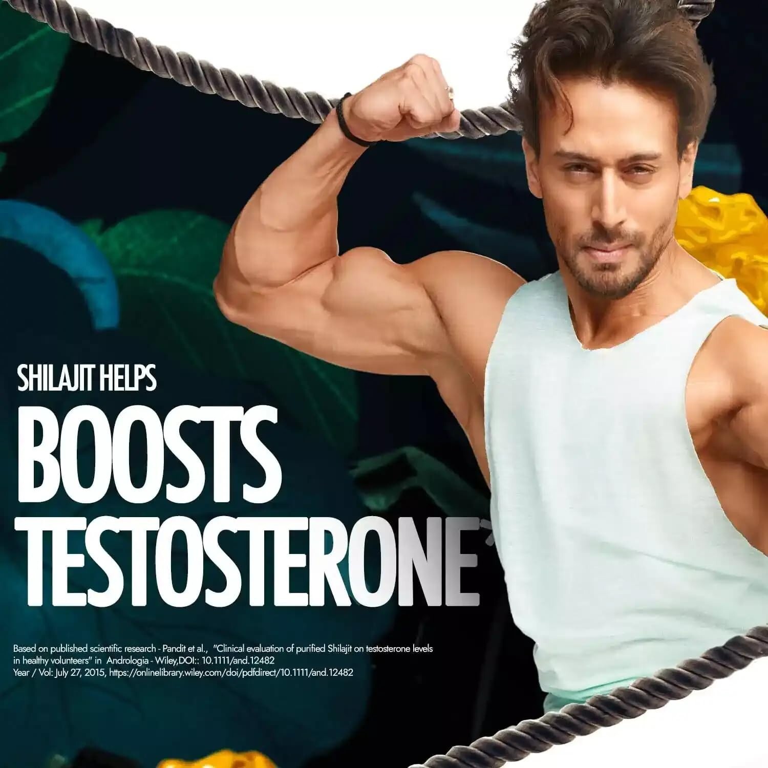 Kapiva Shilajit Gold Resin – Natural Companion for Strength and Stamina A1