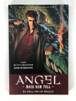 ANGEL Nach dem Fall, Bd. 1: Die Hölle von Los Angeles! Buch Panini Verlags GmbH