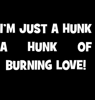 T-Shirt Elvis Presley inspiriert lustig Hunk Of Burning Love 3XL 4XL 5XL tolles Geschenk