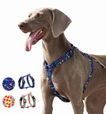 Designer Dog Stylish H Harness, Cute Adjustable and Heavy Duty Nylon Lightwei...