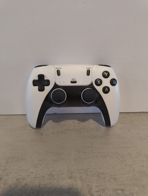 SJGAM Wireless Game Controller 2.4GHz Retro Gamepad For TV Game Stick No Dongle