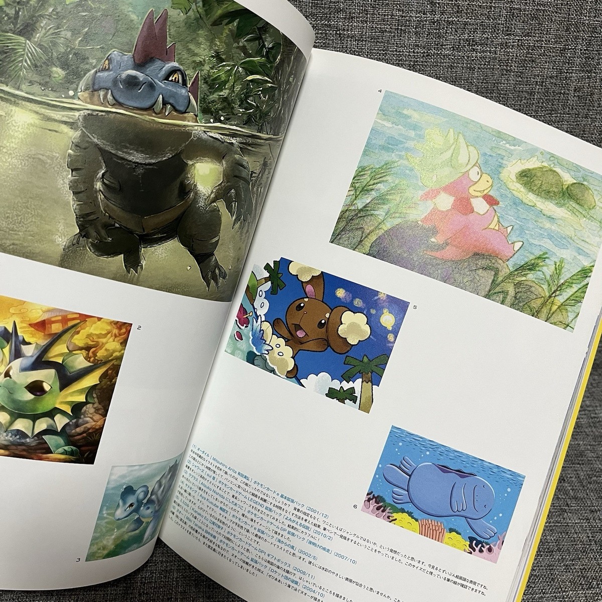 Pokemon Trading Card Game Illustration Collection Art Book Pokemon Trading Card Game Illustration Collection Art Book