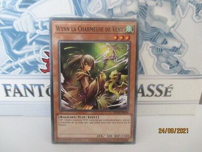 Yu-Gi-Oh! Wynn der Windbeschwörer: C SDCH-FR004