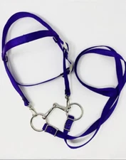 MINIATURE HORSE / SM PONY NYLON  BRIDLE - ROYAL PURPLE