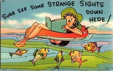 Fish Sure see some strange sights down here! Tichnor Comic Linen Postcard