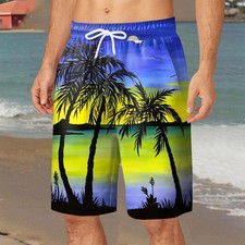 Hawaiian Style 3d Printed Summer Men'S Shorts Quick Dry Swimming Oversized Casua