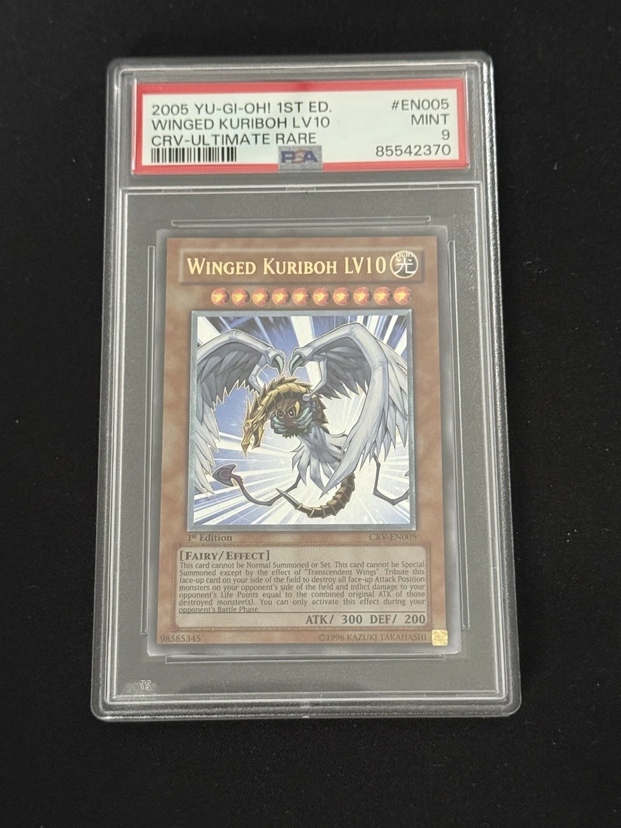 Winged Kuriboh Yu-Gi-Oh! TCG Professional Sports Authenticator