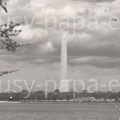 1940s George Washington Monument Washington DC Press Photo