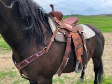 15  Cactus Barrel Saddle - New